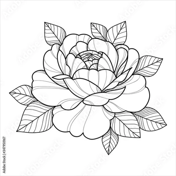 Obraz Hand drawing flower for greeting card, invitation, Henna drawing and tattoo template. Vector illustration