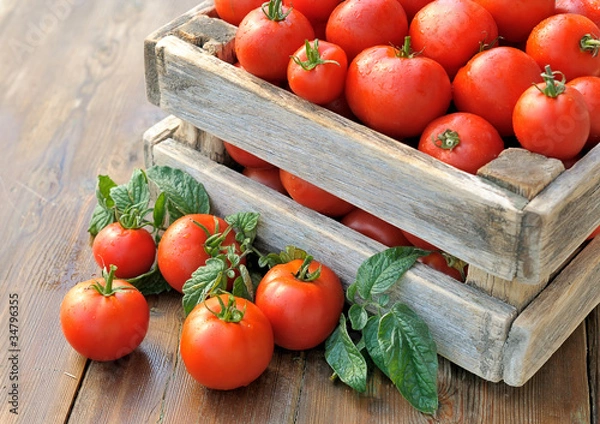 Obraz Pomidor na stole.