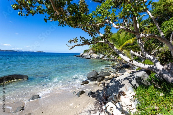 Fototapeta tropical beach and palm trees