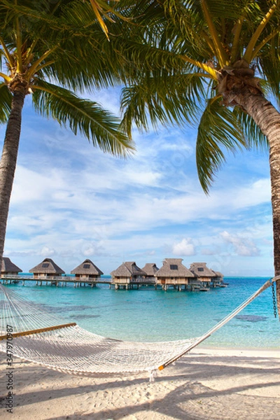 Obraz hammock between palm trees by the sea and houses over water on background. Polynesia. Tahiti