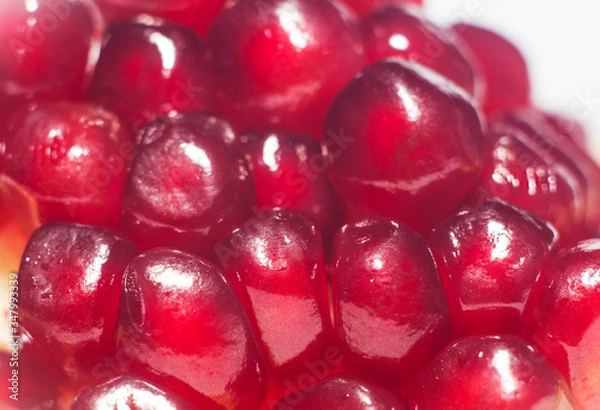 Obraz pomegranate close up