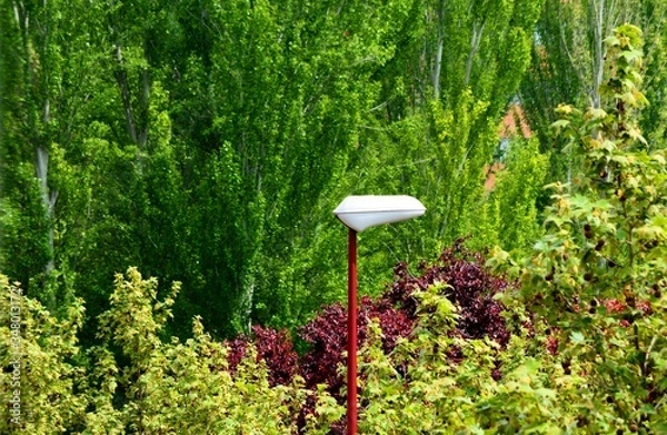 Obraz one lamppost in a park