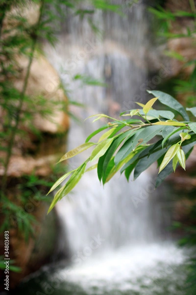 Obraz 20Wasserfall11