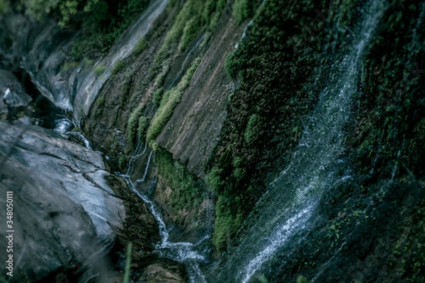 Obraz Pasi Ella View.