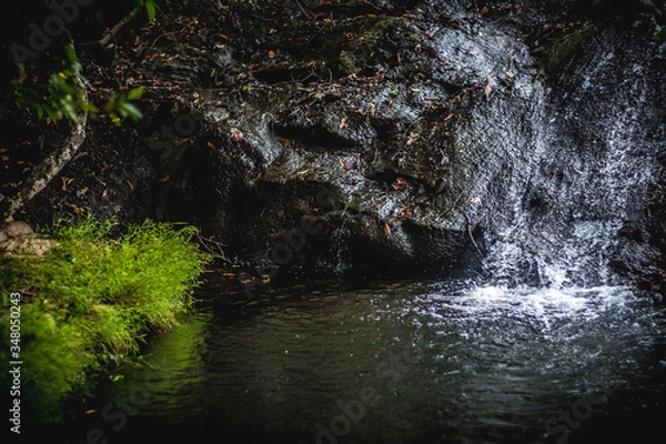 Obraz River, Mahakiula, Sri Lanka