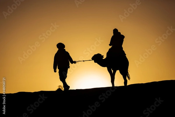 Fototapeta Silhouette of a camel caravan at sunrise in desert Sahara, Morocco