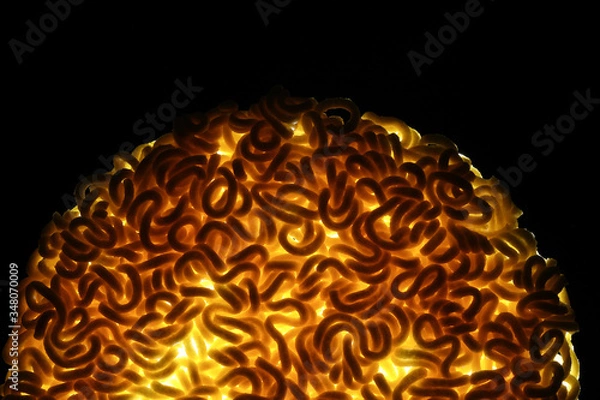 Obraz Round Shape Raw Instant Noodles Background 