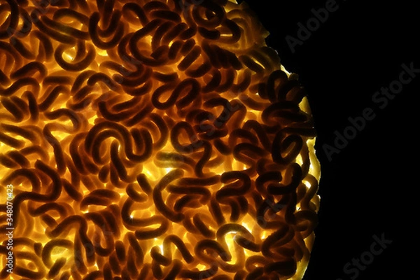 Obraz Round Shape Raw Instant Noodles Background 