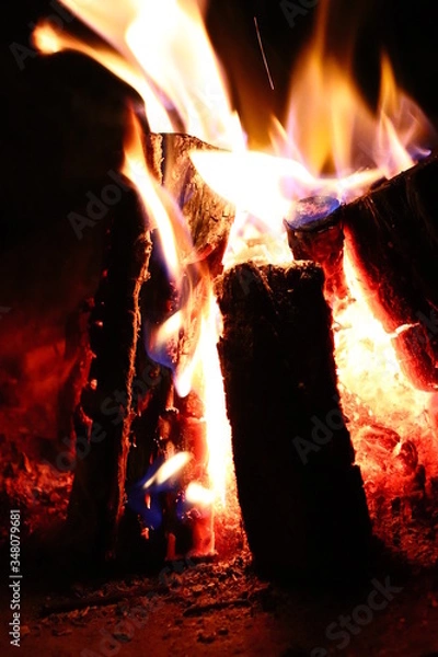 Obraz fire in the fireplace