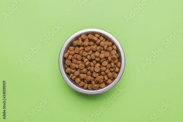 Obraz Dog food in a silver bowl. In the center. Green background. Copy, text sapce.