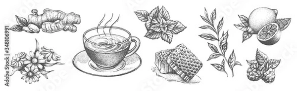 Obraz Kolekcja elementów herbaty na białym tle.