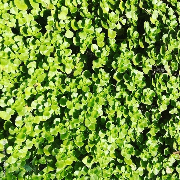 Obraz Ekebergparken, Norvège