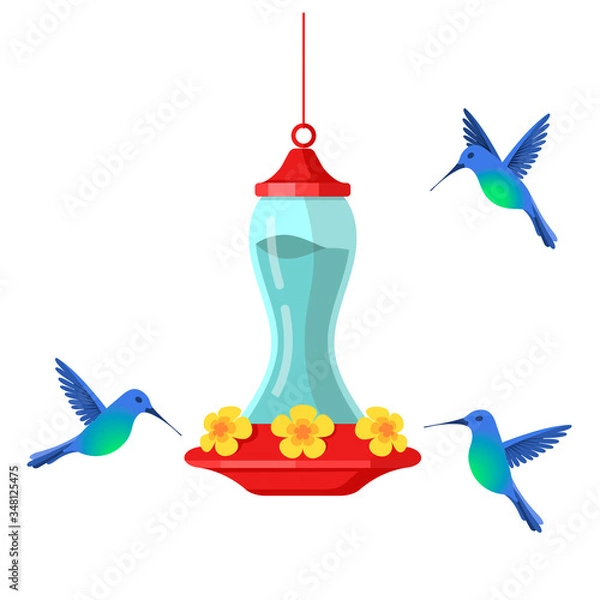 Obraz Hummingbird bird feeder. Cartoon flat illustration isolated on white background.