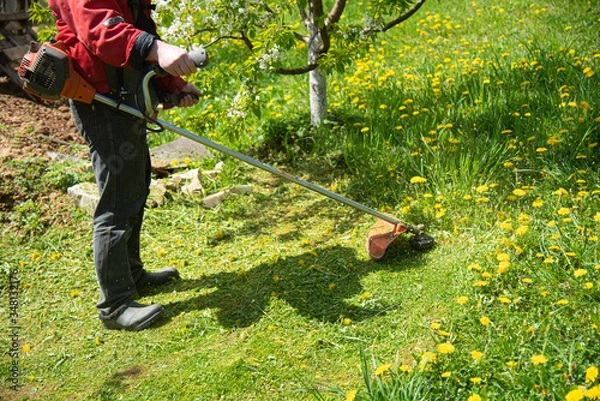 Fototapeta Man mows grass with a gasoline scythe