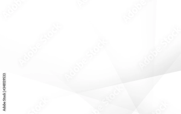 Fototapeta Abstract geometric white and gray Background. with space for concept design Technology and modern.