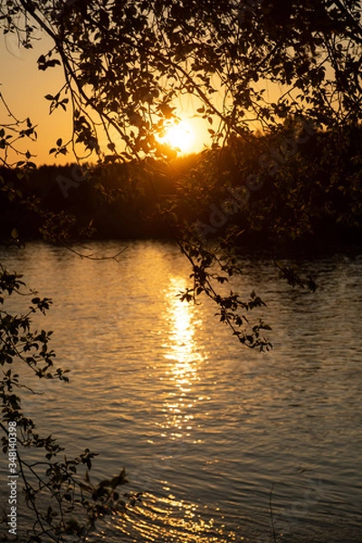 Obraz River, tree, sun, sunset, sky