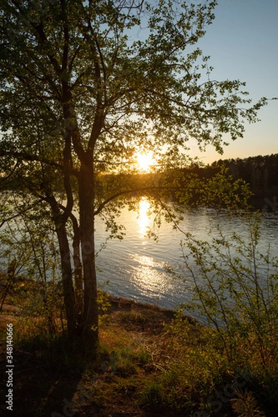 Obraz River, tree, sun, sunset, sky