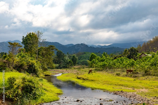 Fototapeta River in the mountains in Vietnam