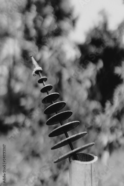 Obraz tree in the snow