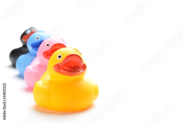 Obraz アヒルの人形