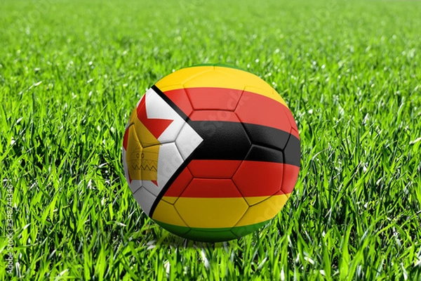 Obraz Zimbabwe Flag on Soccer Ball