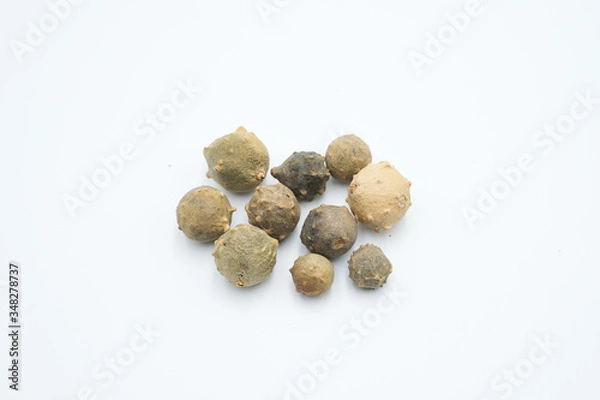 Obraz Quercus infectoria, the Aleppo oak or manjakani shot on a white isolated background.