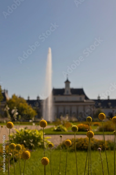 Fototapeta Schloss Pillnitz