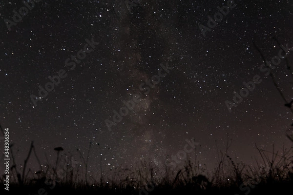 Fototapeta Milky way beyond grass