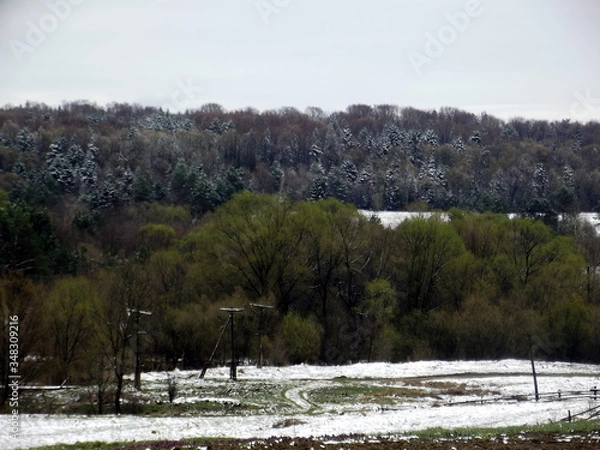 Obraz Spring is coming soon...