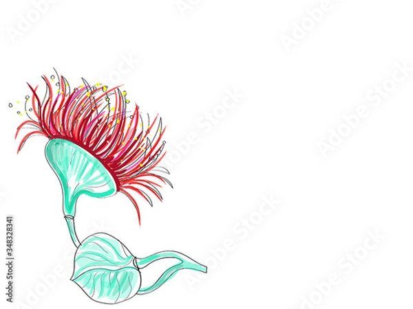 Obraz Eucalyptus painted digital sketch