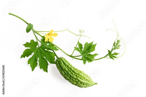 Fototapeta Balsam Pear