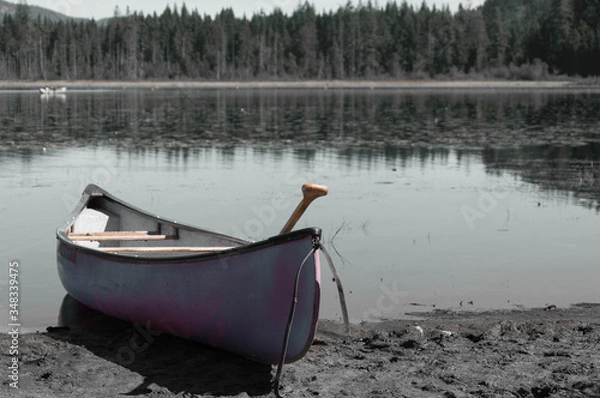 Obraz canoe on lake