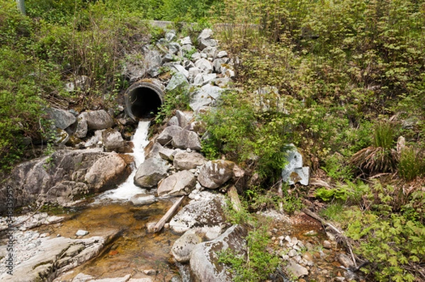 Obraz water pipe in the wild 