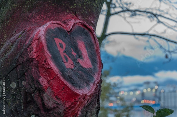 Obraz old tree trunk shaped as heart