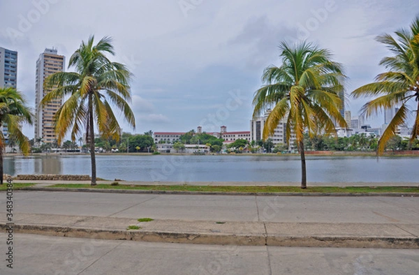 Obraz palm trees on the beach in Cartagena