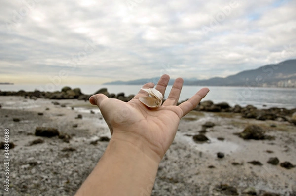 Obraz hand holding seashells