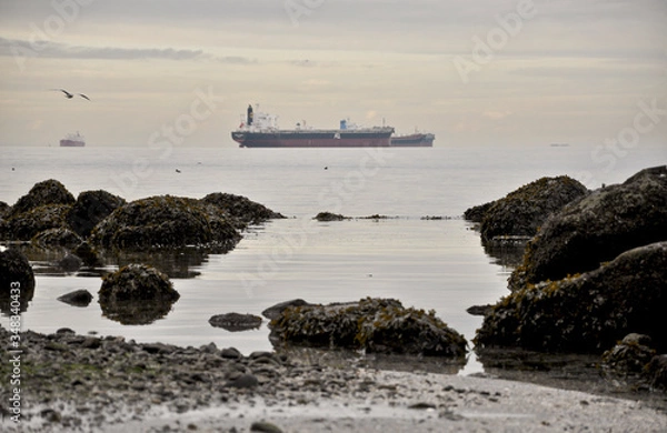 Obraz Cargo ship on the shoreline