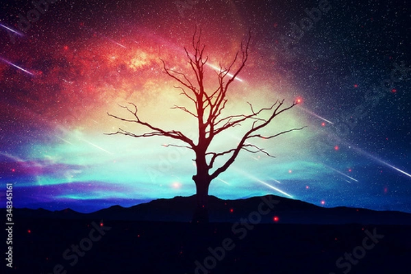 Obraz Lonely tree on a green pink natural backdrop