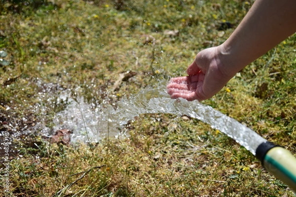 Obraz watering the grass