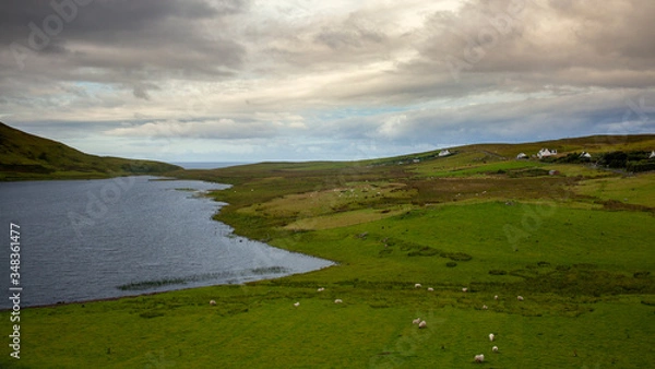 Obraz landscape with lake