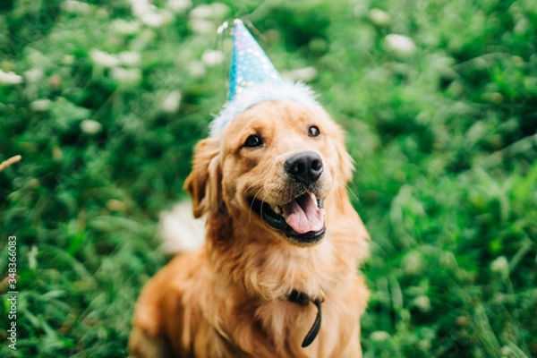 Fototapeta birthday buddy