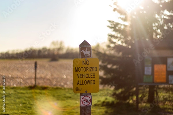 Fototapeta Nature Backdrop