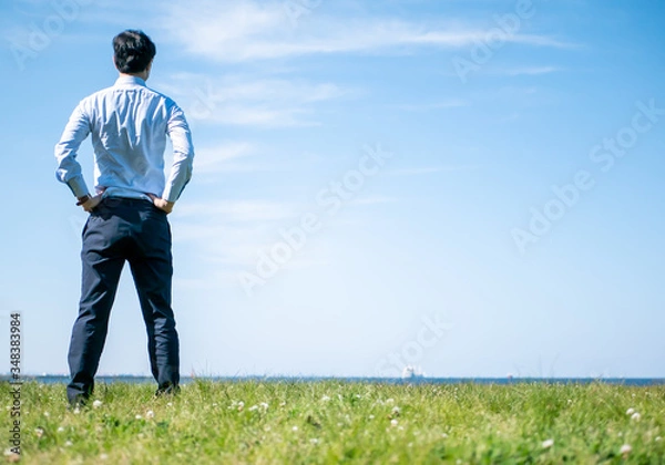 Fototapeta 草原にビジネスマンが立っている