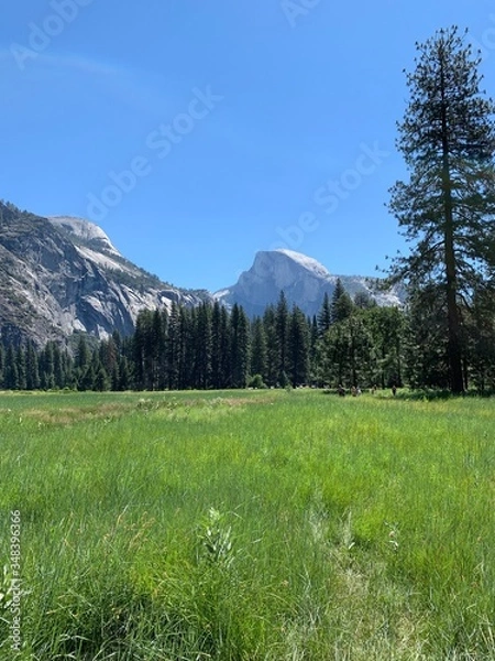 Fototapeta el Capitan 