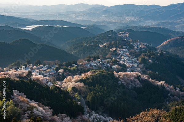 Fototapeta 吉野の夕景