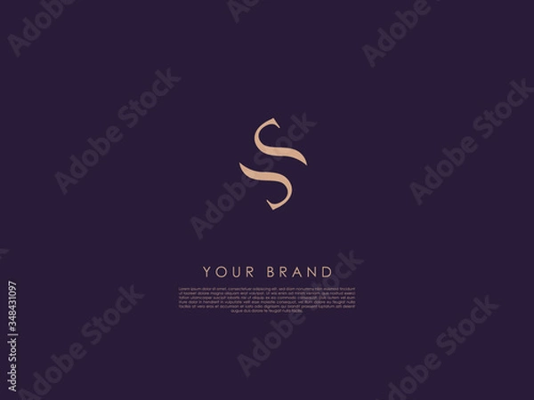 Fototapeta a business logo consists of two wavy lines one under the other and represents letter 'S'