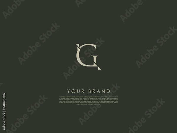 Fototapeta a business logo consists of the letter 'G' and a diagonal line