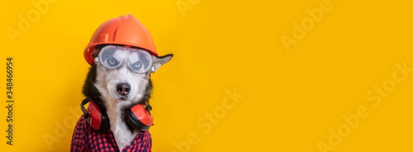 Fototapeta Cute husky dog worker in builder glasses, helmet and headphone to ear protection, banner, copy space