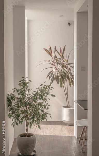 Obraz modern interior design