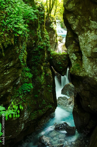Obraz The gorges of tolmin, Eslovenia
